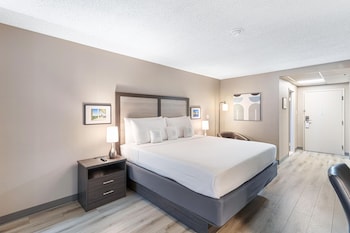 Standard Room, 1 King Bed, Accessible, Non Smoking (Walk-in Shower)