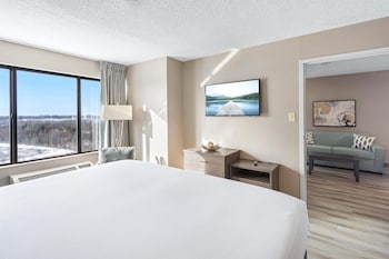 Suite, 1 King Bed, Non Smoking (Living Room;with Sofabed)