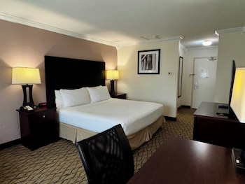 Standard Single Room, 1 King Bed