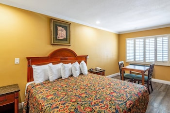 Standard Room, 1 King Bed, Accessible, Non Smoking (Roll-In Shower)