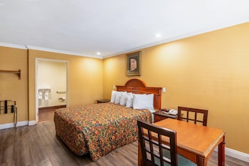Standard Room, 1 King Bed, Accessible, Non Smoking (Roll-In Shower)