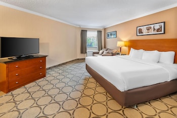 Room, 1 King Bed, Non Smoking
