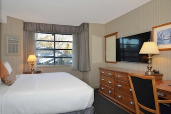 Junior Studio Suite