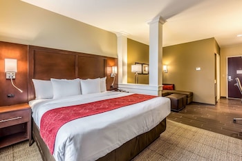 Suite, 1 King Bed with Sofa bed, Non Smoking