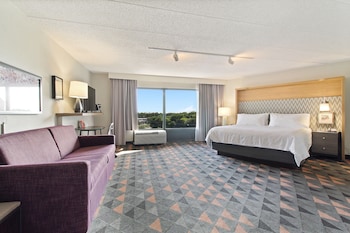 Suite, 1 King Bed