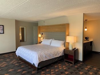 Standard Room, 1 King Bed, Accessible Bathtub (Communications)