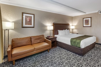 Room, 1 King Bed, Non Smoking