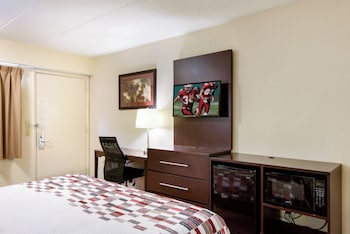 Deluxe Room, 1 King Bed, Accessible, Non Smoking (Roll-In Shower)