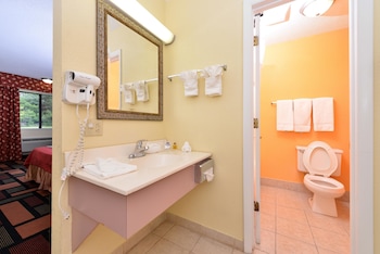 Room, 1 King Bed, Mobility Accessible, Non Smoking