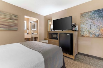 Suite, 1 King Bed, Non Smoking, Jetted Tub (with Sofabed)