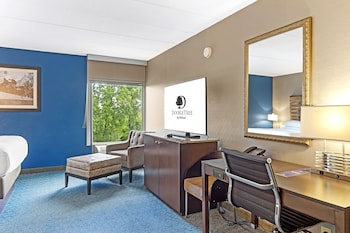 Room, 1 King Bed