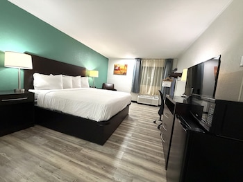 Room, 1 King Bed, Non Smoking