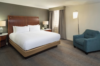 Suite, 1 King Bed
