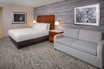 Room, 1 King Bed