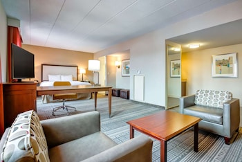 1 King Bed Studio Suite w/Sofabed