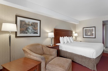 Standard Room, 1 King Bed, Non Smoking, Refrigerator & Microwave
