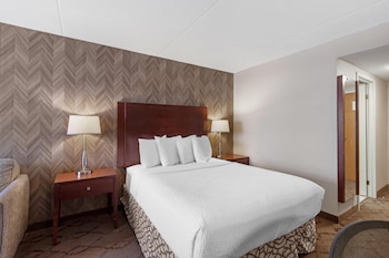 Standard Room, 1 Queen Bed, Non Smoking, Refrigerator