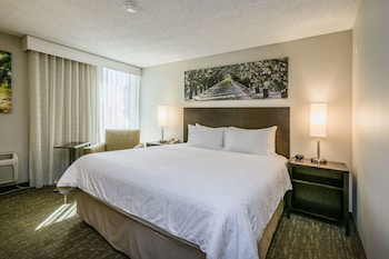 Room, 1 King Bed, Non Smoking