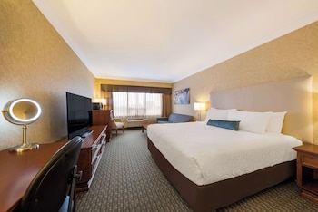 Standard Room, 1 King Bed, Non Smoking (with Sofabed)