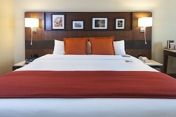 Room, 1 King Bed, Accessible, Non Smoking (Mobility, Roll-In Shower)