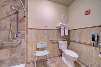 Standard Room, 2 Queen Beds, Roll-in Shower, Non Smoking (Communications Accessible)