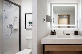 Premium Room, 1 King Bed with Sofa bed (Mobility/Hearing Access, Roll-in Shwr)