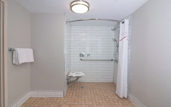 Superior Room, 1 King Bed (Accessible,Smoke Free, Roll-In Shower)