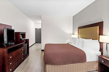 Room, 1 Queen Bed, Accessible (Roll In Shower)
