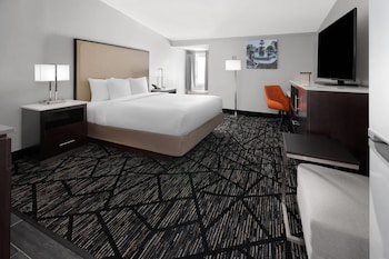 Room, 1 King Bed, Non Smoking (Mobility, Roll-in Shower)