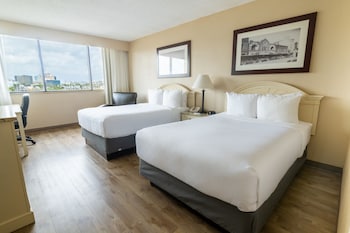 Standard Double Room, 2 Double Beds