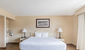 Room, 1 Double Bed
