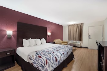 Deluxe Room, 1 King Bed, Accessible, Non Smoking (Roll-In Shower)