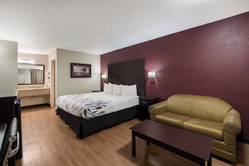Deluxe Room, 1 King Bed, Accessible, Non Smoking (Roll-In Shower)