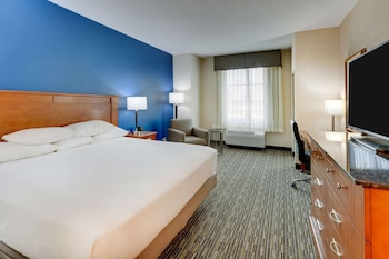 Room, 1 King Bed, Accessible (Roll in Shower)