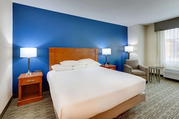 Room, 1 King Bed, Accessible (Roll in Shower)