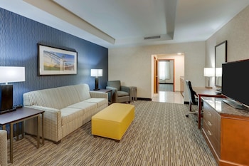 Suite, 1 King Bed with Sofa bed, Accessible (Sofa Sleeper, Tub, 2 Rooms)