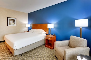 Room, 1 King Bed, Accessible (Roll in Shower)