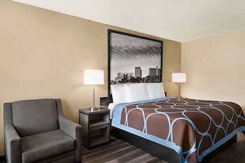 Room, 1 King Bed, Accessible, Smoking