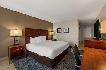 Standard Room, 1 King Bed, Non Smoking