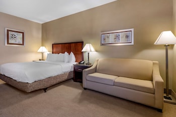 Standard Room, 1 King Bed, Non Smoking, Refrigerator & Microwave