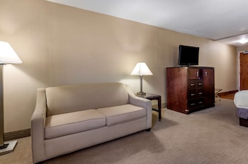 Standard Room, 1 King Bed, Accessible, Non Smoking