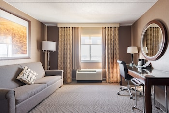 Studio Suite, 1 King Bed, Non Smoking