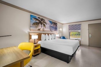 Room, 1 King Bed, Non Smoking