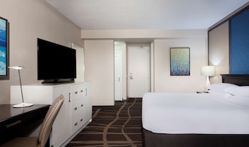 Room, 1 King Bed