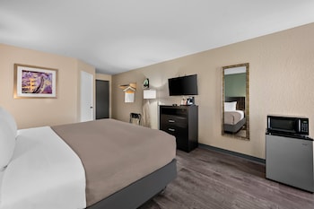 Room, 1 King Bed, Non Smoking
