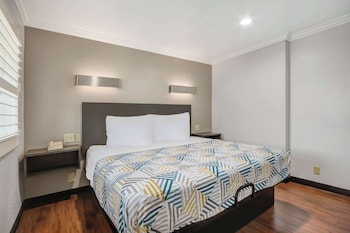 Deluxe Room, 1 King Bed, Non Smoking, Refrigerator & Microwave