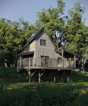 Treehouse
