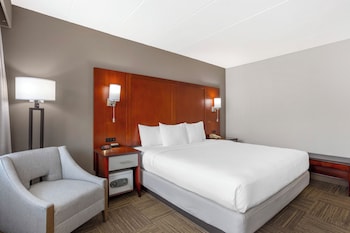 Standard Room, 1 King Bed, Non Smoking