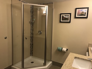 Executive Suite, 1 King Bed with Sofa bed, Non Smoking