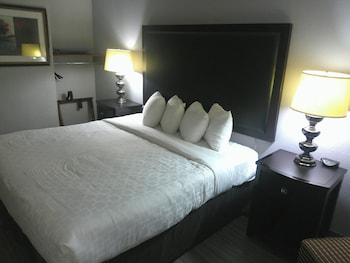 Superior Room, 1 King Bed, Accessible (Smoke-Free, Roll-In Shower)